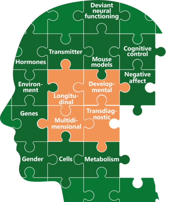 A picture of a human head comprised of puzzle pieces. Most depict aspects of aggression, some centerpieces list research themes of TRR379